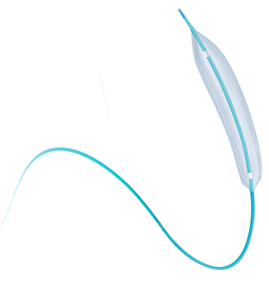 NC PTCA balloon dilatation catheter