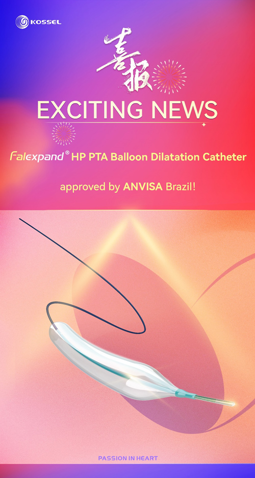 PTA-Balloon-Dilatation-Catheter